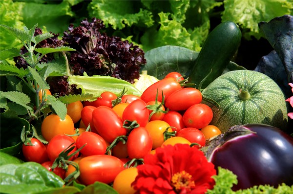 蔬菜有各种维生素以及膳食纤维，还有大量的微量元素