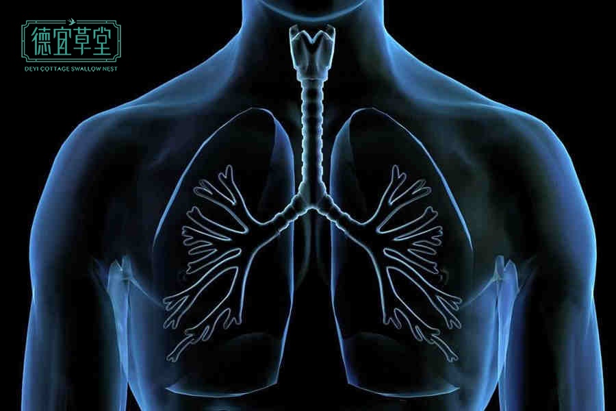 肺炎后期咳嗽有痰可以吃燕窝吗